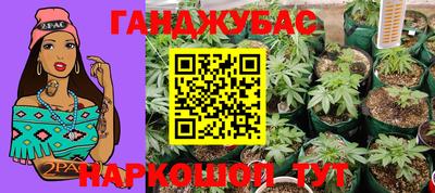 индика Кинель