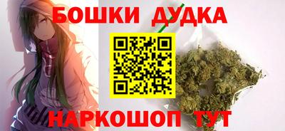 индика Кинель