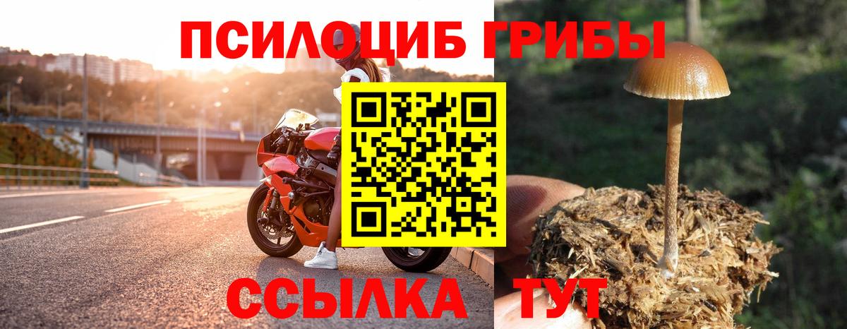 Канаш  Галлюциногенные грибы GOLDEN TEACHER  Псилоцибиновые грибы Psilocybe  Вход с VPN 