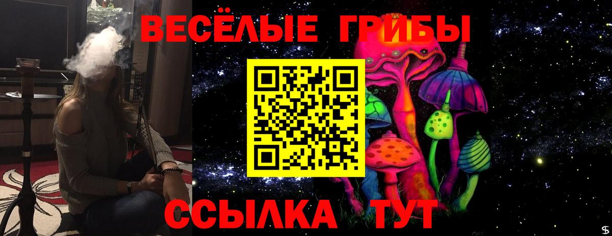 Галлюциногенные грибы Psilocybine cubensis Канаш